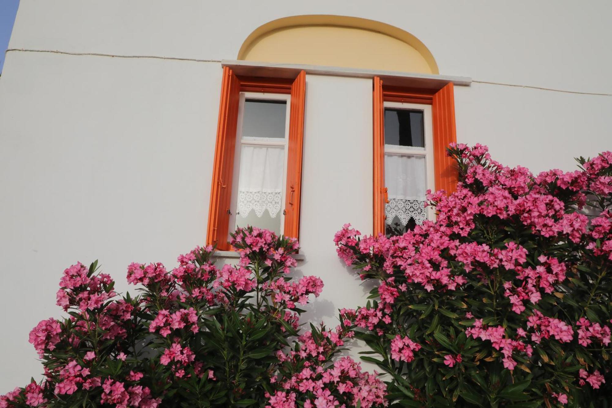 Panormos Apartments المظهر الخارجي الصورة